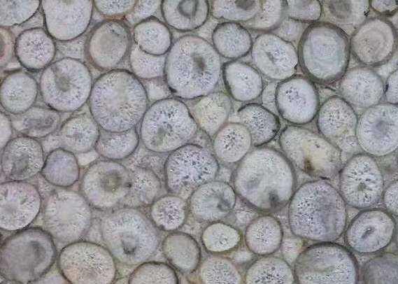 Agate Jellyfish Semiprecious Stone